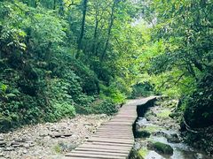 -青城山