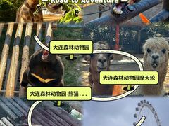 -大连森林动物园