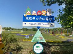 -苏州太湖西山岛开心农场