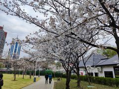 -新虹桥中心花园