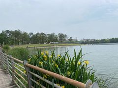 -美兰湖景区