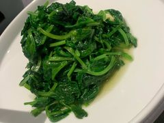素炒豌豆尖-柿合缘新京菜(国金中心商场店)