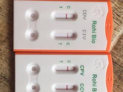 -佳怡动物医院·平价24小时·猫专科骨外科