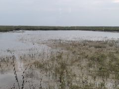 -北海金海湾红树林生态旅游区