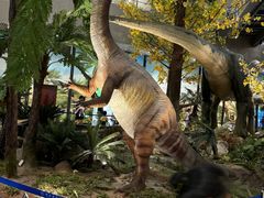 -湖南省地质博物馆