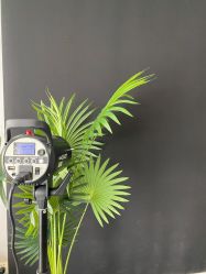 -極致刺青TATTOO STUDIO 私人订制