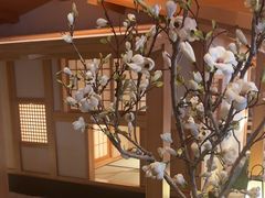 -北方暖暖温泉度假洗浴