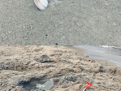 -碧海银沙景区