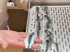 -镹·鱼料理  国产鱼使用店