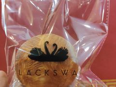 天鹅蛋-BLACKSWAN黑天鹅(环球店)
