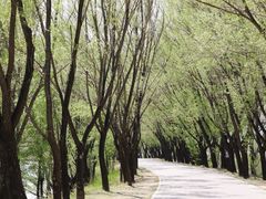 -野鸭湖国家湿地公园