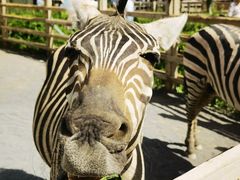 -水上乐园·欢乐世界