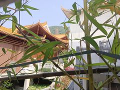 -深圳仙湖植物园