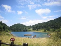 -武陵山森林公园