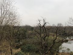 -木守西溪溪隐餐厅