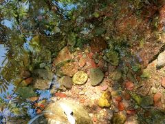 -溪口-滕头旅游景区