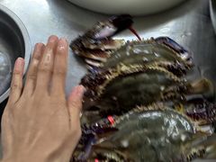 -四道口水产市场
