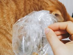 -味多美(江桥万达店)