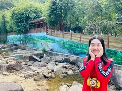 -广州白江湖森林公园