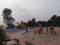 -铁山坪森林公园