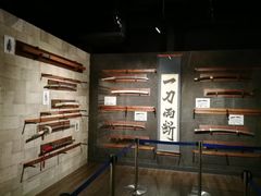 -东京塔海贼王主题公园