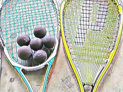 -布波运动公园羽毛球场