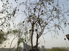 -东湖公园