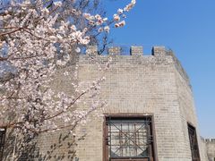 -桃花堤公园