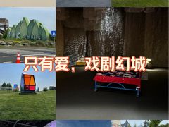-荷兰花海