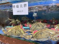 -张树军海鲜(王府壹号店)