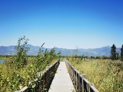 -野鸭湖国家湿地公园