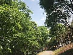 -白鹭湾湿地公园