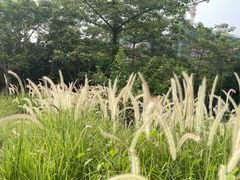 -福田红树林生态公园