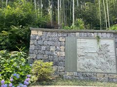 -东明山森林公园