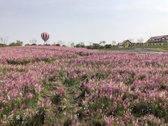 -歌斐颂巧克力小镇