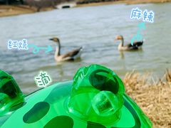 -西安浐灞国家湿地公园