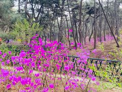 -红螺寺