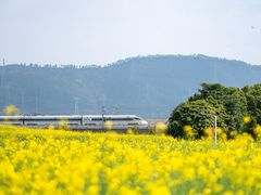 -光明小镇欢乐田园