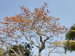 -三亚南山文化旅游区