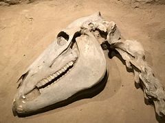 -洛阳周王城天子驾六博物馆