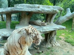 -北京野生动物园