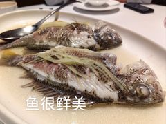 蒸黄花鱼-花城苑广府菜(侨鑫店)