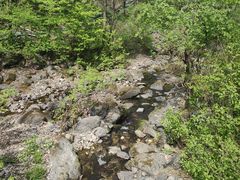 -香炉山国家森林公园