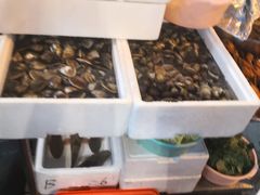 -梅鑫海产店