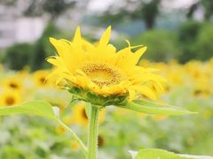-南京信息职业技术学院