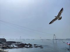 -银沙滩浴场