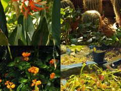 -国家植物园南园