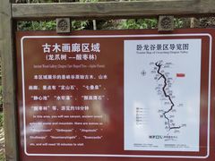 -大鄣山卧龙谷景区