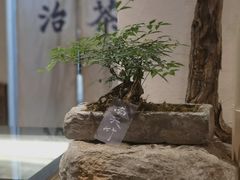 -成川茶店·潮汕工夫浓茶(万象店)