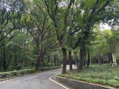 -句容茅山景区